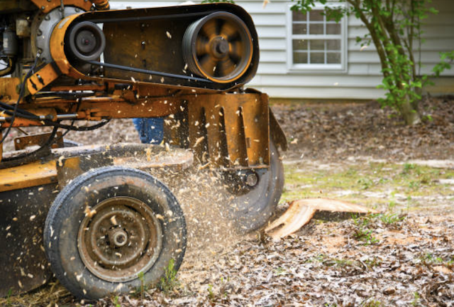stump grinding wayne ma